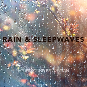 Rain & Sleepwaves (Continuous Mix)