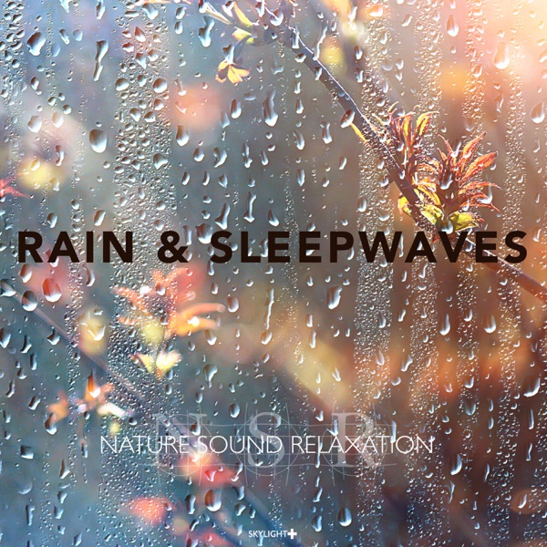 Rain & Sleepwaves (Continuous Mix)