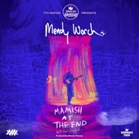 Rebbe Tell Me (feat. DJ Farbreng) [Radio Edit] - Thank You Hashem &amp; Mendy Worch Cover Art