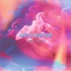 Menagerie Single