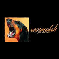 Рэп спас меня - Single - roosmalah