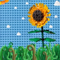 Sonflower - Single - Asiare