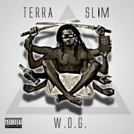 Meditation (feat. Ruinz Ason) Terra Slim