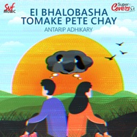 Ei Bhalobasha Tomake Pete Chay - Cover (Cover) - Single - S.P. Venkatesh