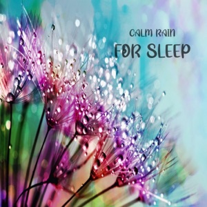 Calm Rain for Sleep