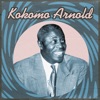 Kokomo Arnold & Roosevelt Sykes - Backfence Picket Blues