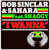 I Wanna (feat. Shaggy) [Original Extended Mix] - Bob Sinclar & Sahara