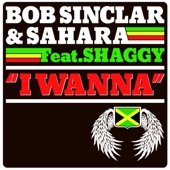I Wanna (feat. Shaggy) [Original Extended Mix] artwork