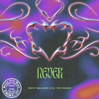 NEVER (feat. Eli the singer) - Single - Wavy Maliano