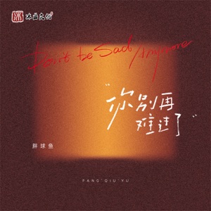 你别再难过了 - Single