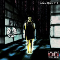 Serial Experiments (feat. Cyberskunkk) - Single - Gnarlynick