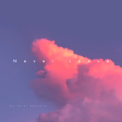 Never Leave - Single