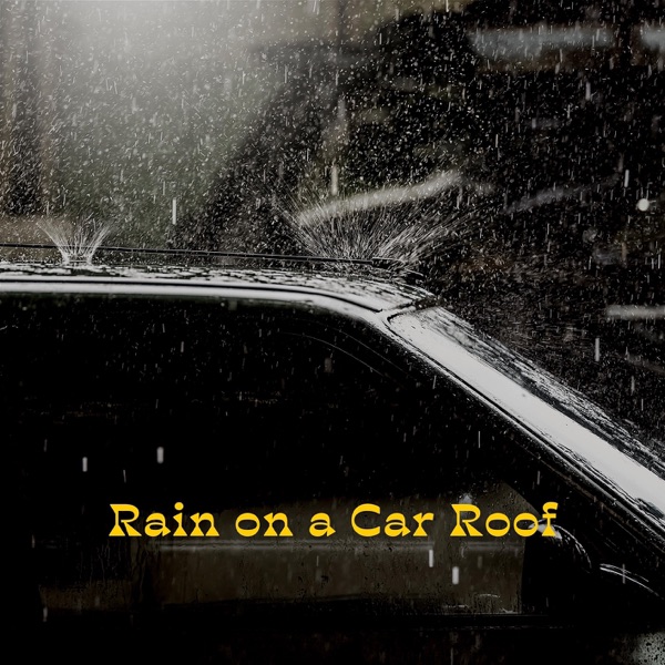 Rain on a Car Roof