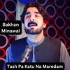 Tash Pa Katu Na Maredam - Single