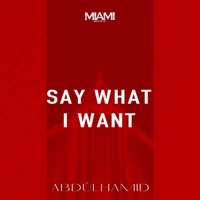 Say What I Want - Single - AbdülHamid