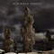 Rex Verminorum - New Risen Throne lyrics