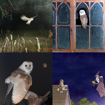 Canova45 - Yıldırım Çarptı