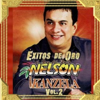 Éxitos de Oro, el Rey del Baile, Vol. 2 - Nelson Kanzela