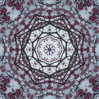 Far Away (feat. Joi Najae) - Single