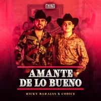 Amante De Lo Bueno - Single - Ricky Barajas & Códice