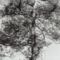Drizzly - Single - mellow days
