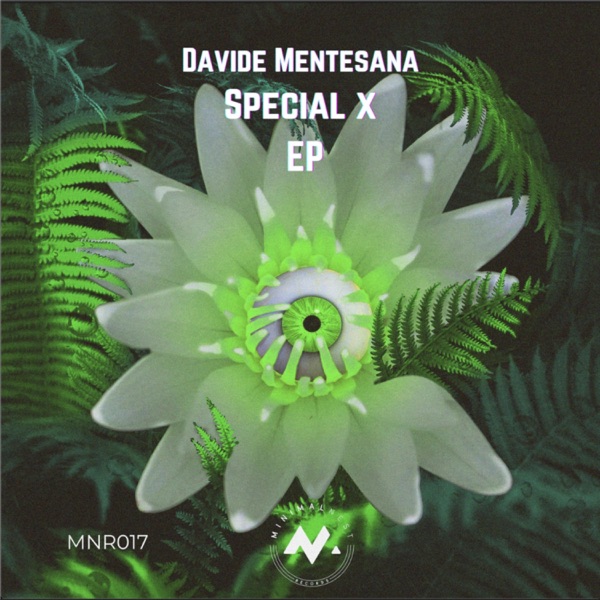 Special X - Single