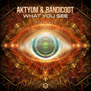 What You See - Single