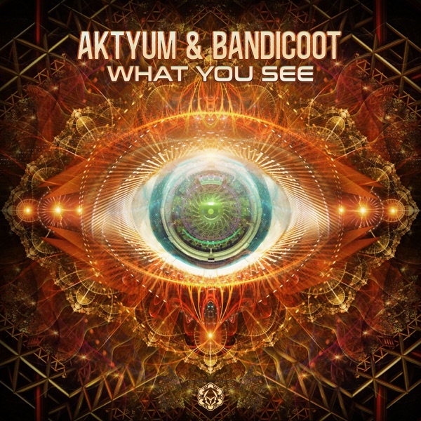 What You See - Single