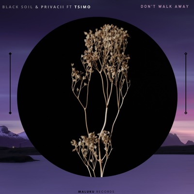 Don't Walk Away (feat. Tsimo) - Single