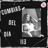 Cumbias del Día 113 (feat. Tropi Tube)