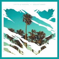 Endless Summer - Single - Lofitic & Tsundoku
