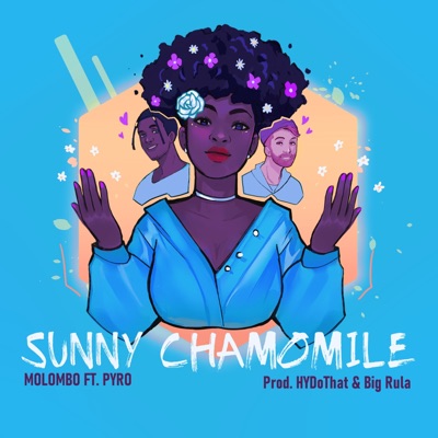 Sunny Chamomile - Single