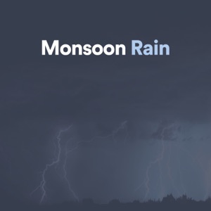 Monsoon Rain