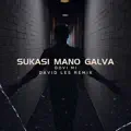 Sukasi Mano Galva (David Les Remix)