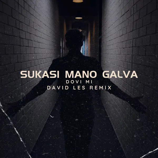 Sukasi Mano Galva (David Les Remix) — Dovi Mi