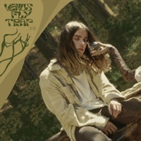 venus fly trap - Single - brakence