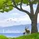 Lakeside Single