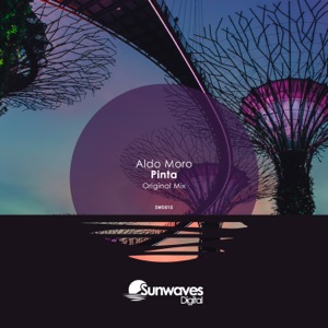 Pinta (Tom Bro Remix)