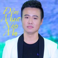 Đêm Mưa Nhớ Mẹ - Single - Dư Anh