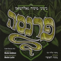 משה גאלדמאן - כי הם חיינו