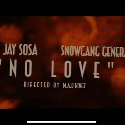 No Love (feat. Snowgang General) - Single