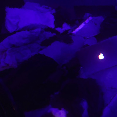 Woah! (feat. Lil Choppa Black) - Single