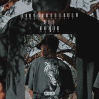 Combos Before the Storm (feat. RXXK) - Single - SmokeDeog