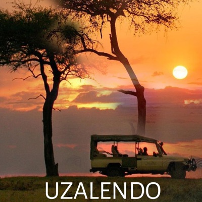 MOLO AUDIOCITI - Sponyoi