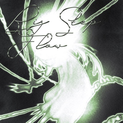Big Step Flow - Single