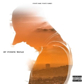 Run Thru It (feat. Sayzee) Private Name Private Number