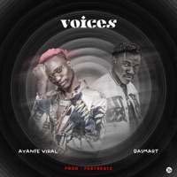 Voices (feat. Dasmart) - Single - Ayanfe Viral