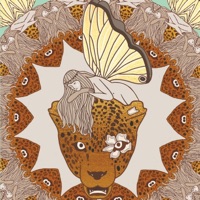 Lenguaje de hadas (feat. Amor Reluciente) - Single - Nada Tutto