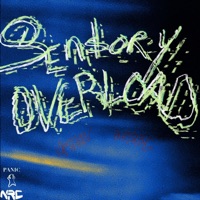 SENSORY OVERLOAD (feat. HHPBABYG) - Single - Vashon