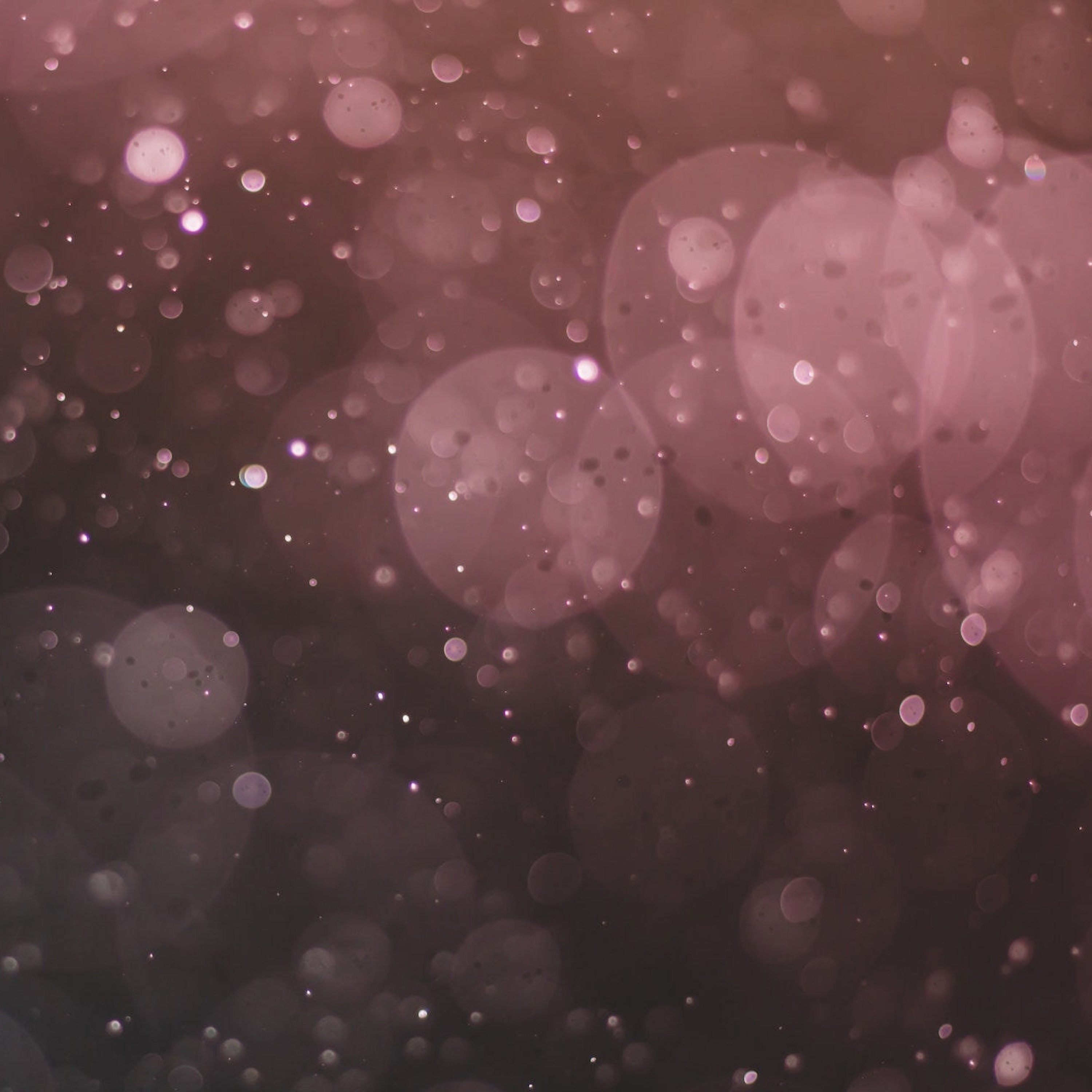 Blue Window (LoFi Mix) - Single